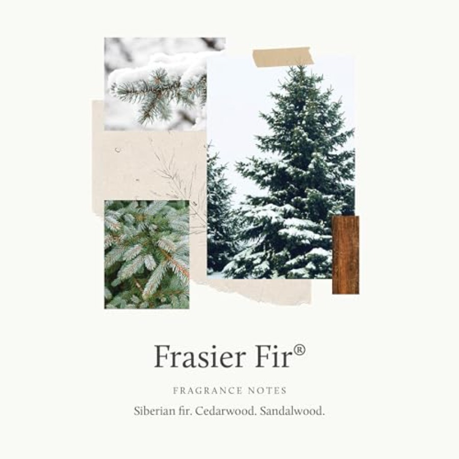 Reed Diffuser Oil Refill Fragr - Home Fragrance Reed Diffuser Refill のレビューと価格