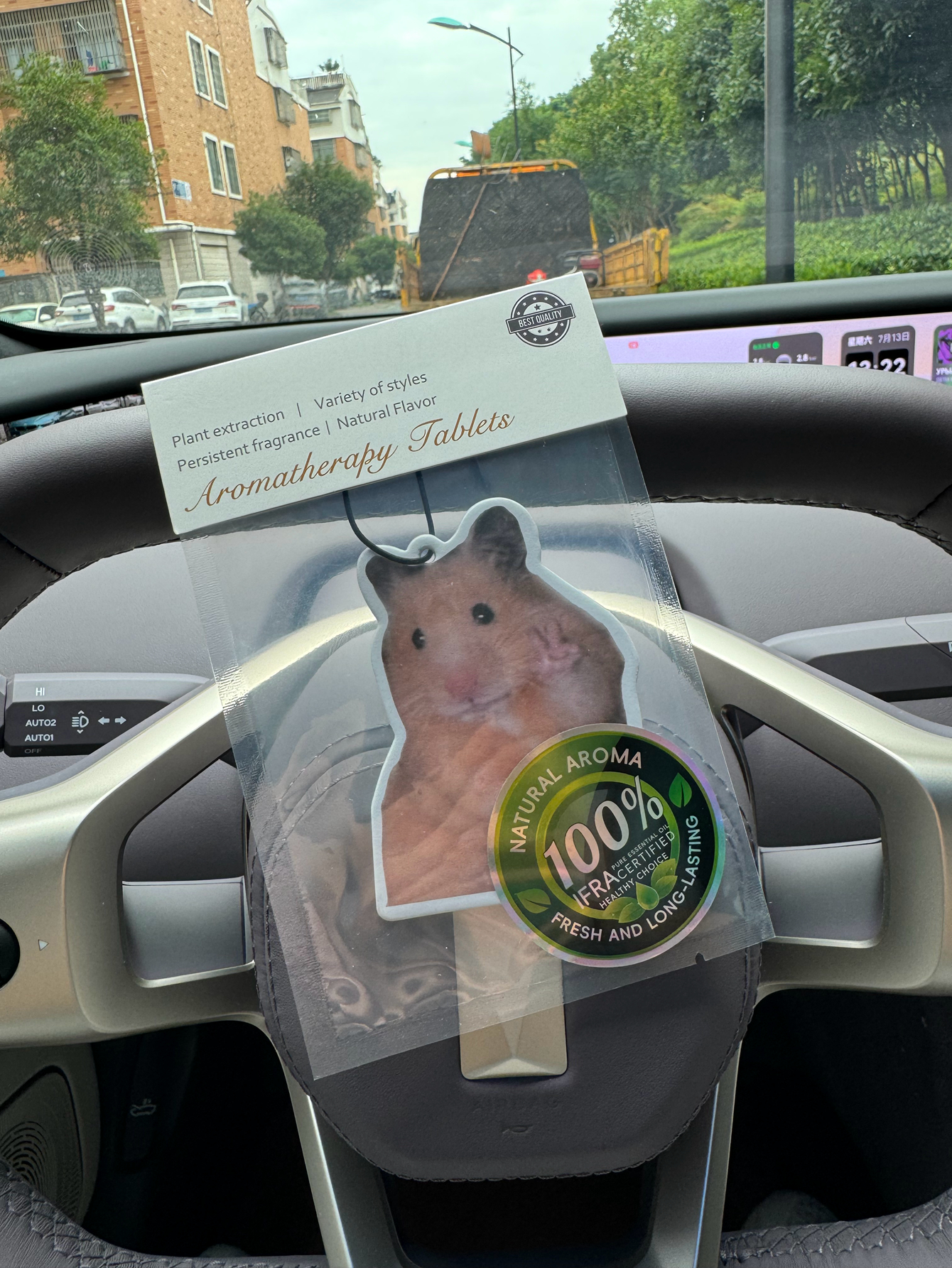 Magnet Hamster Meme Magnet Ham - Home Fragrance Janzen のレビューと価格